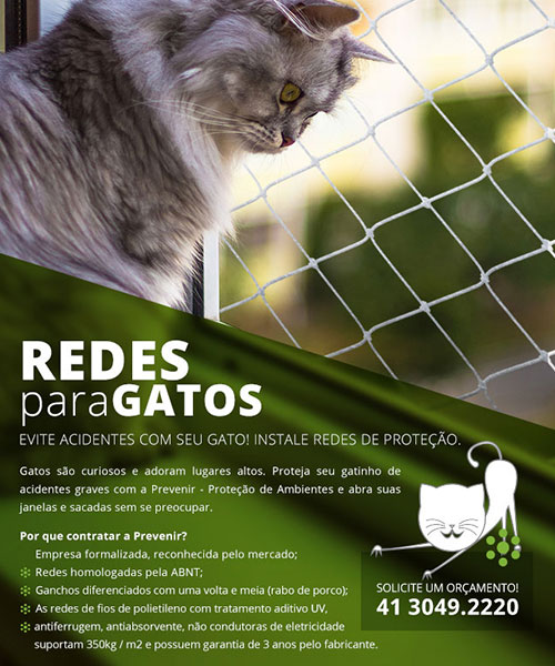 Criacao De Newsletter Prevenir 1